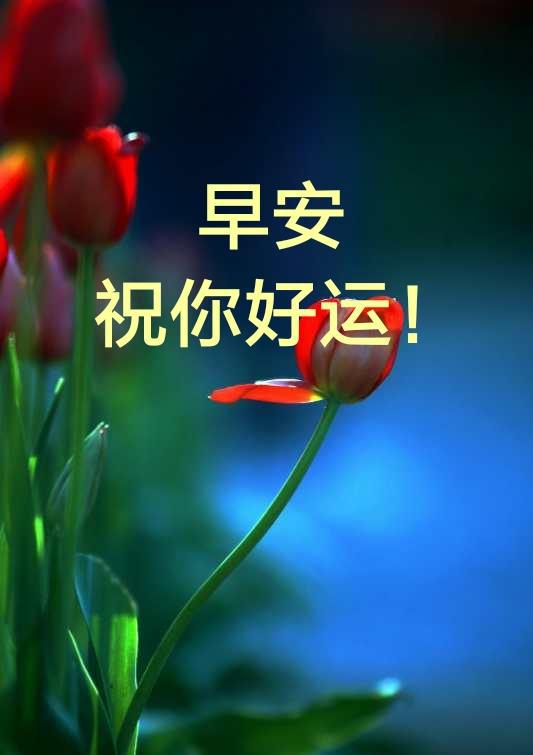 活的是一份心情父母安康,子女茁壮成长再次祝福你家庭和睦,幸福万年