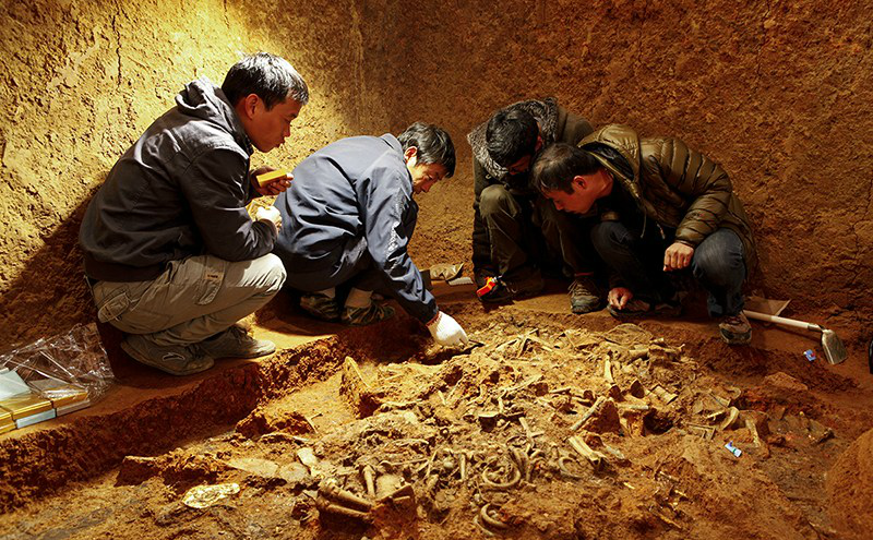 当年让考古学家一筹莫展的古墓最后还是求救于盗墓贼才发掘成功