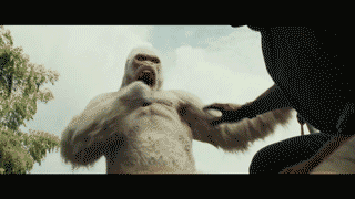 欧科(依旧是打打打),负责照顾银背猩猩乔治.