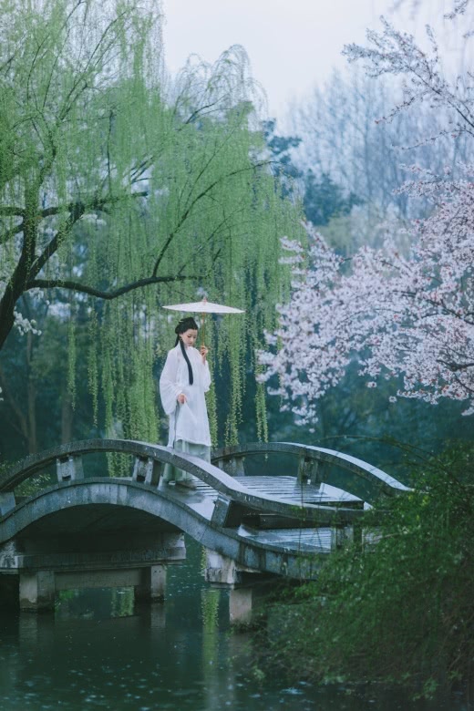 沾衣欲湿杏花雨吹面不寒杨柳风