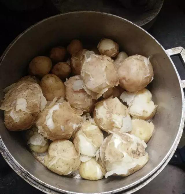 青海|零食|洋芋_新浪新闻