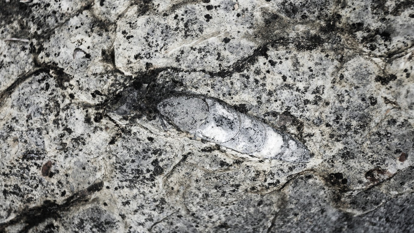 画廊乌江,山谷间寻找大自然的精灵