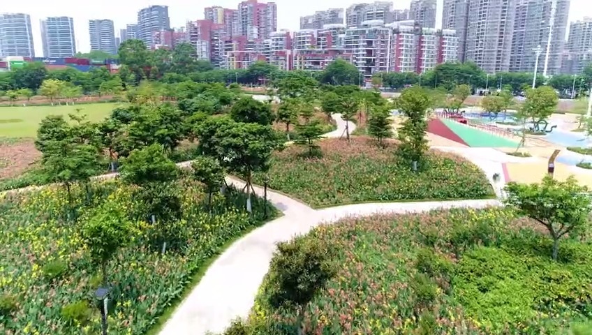 超劲爆好听DJ舞曲健身广场舞《自由奔腾》