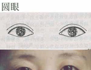 中国人普遍的三种眼型, 原来大多男的都是杏仁眼啊|凤眼|柳叶|眼尾_新浪新闻