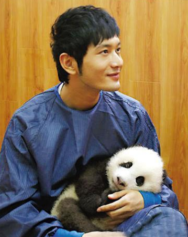 明星看见熊猫后,谢娜像慈母,姚明像慈父,李宇春却暴露了本性