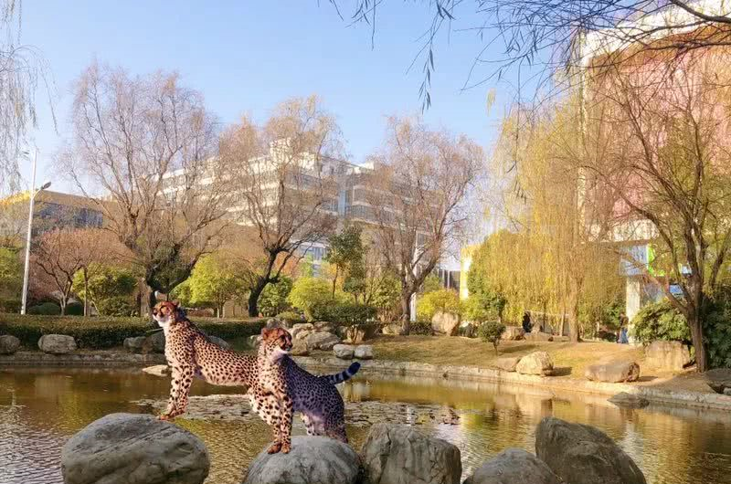 动物园|感恩节|昭通_新浪新闻