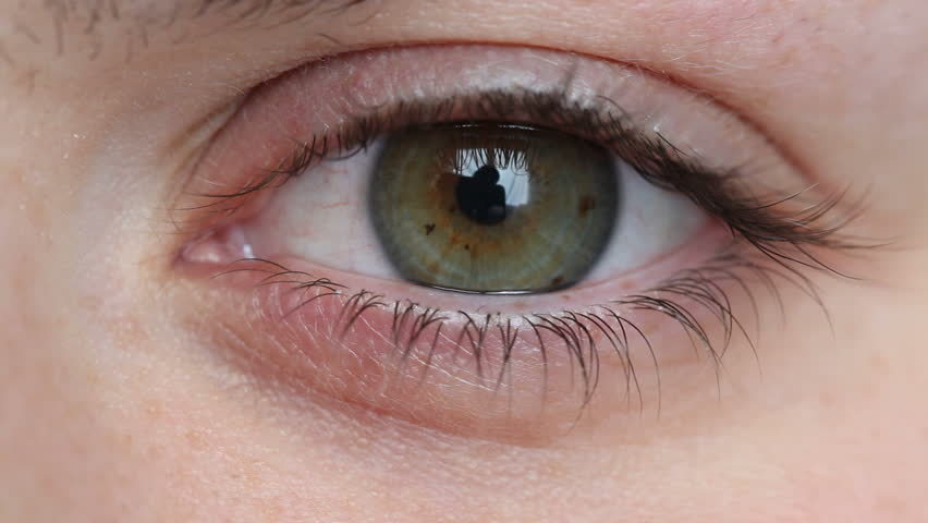 眼睛局部细节参考图