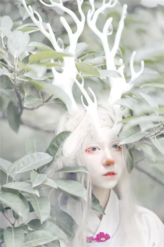 北望河林其状如蒨如举有兽焉,其状如白鹿而四角名曰夫诸,见则其邑大水