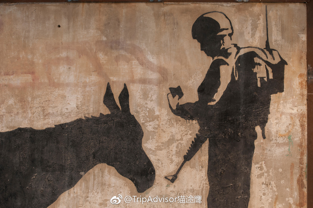 banksy是世界上最著名也是最神秘的街头艺术家之一.不熟悉这个名字