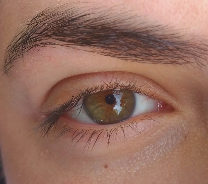 眼睛局部细节参考图