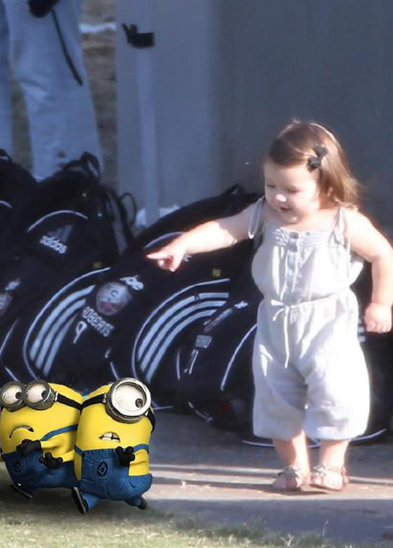 小七最淑女的照片被晒出,胖墩墩的很可爱!维妈:有小七很幸运!