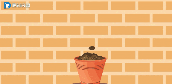 把种子放在桌子上,不给它浇水,不让在它土壤里面,那它就永远不会发芽!