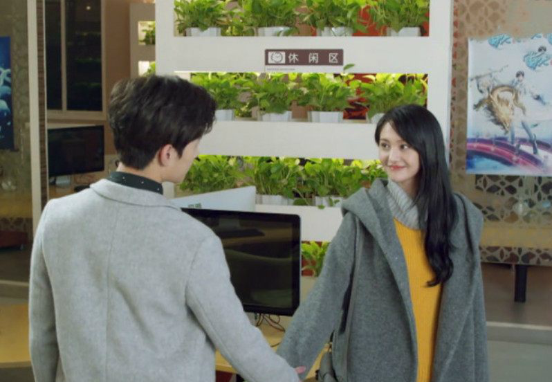 由林玉芬执导,郑爽,杨洋,毛晓彤,白宇,牛骏峰,郑业成,崔航等联袂主演