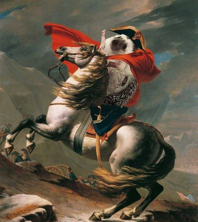 马背上的拿破仑名画图片