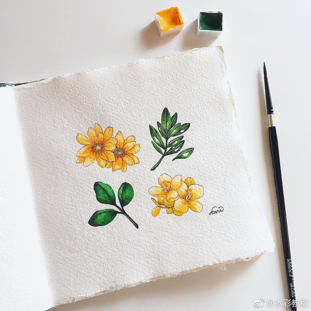 水彩植物蔬菜类作品欣赏哦 by ins: hana_illustration|作品欣赏|水彩