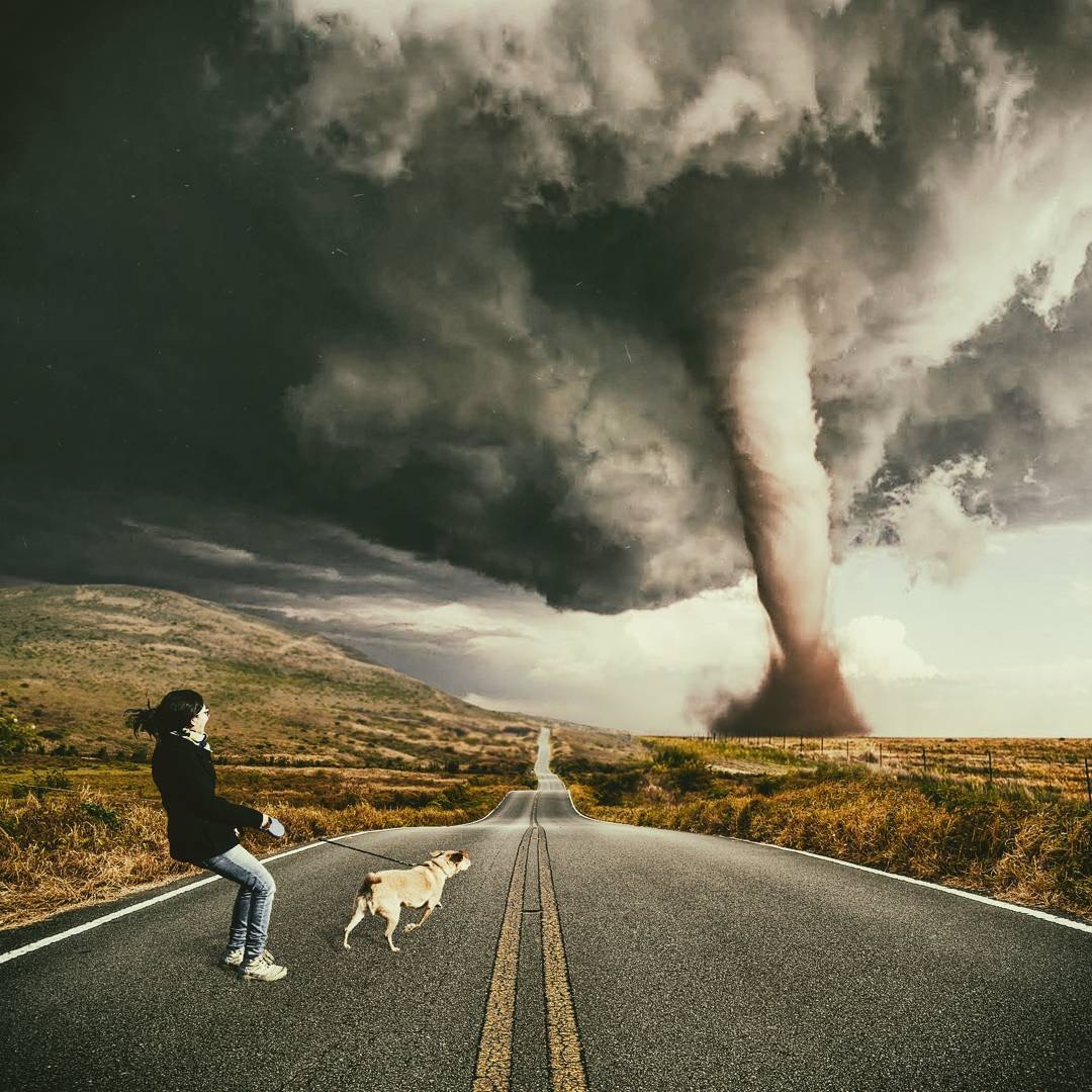 天马行空的想象力视觉艺术多伦多艺术家justinmain