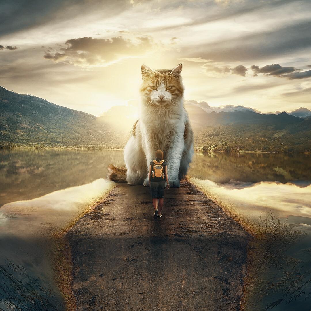 超现实主义摄影作品maniphotography