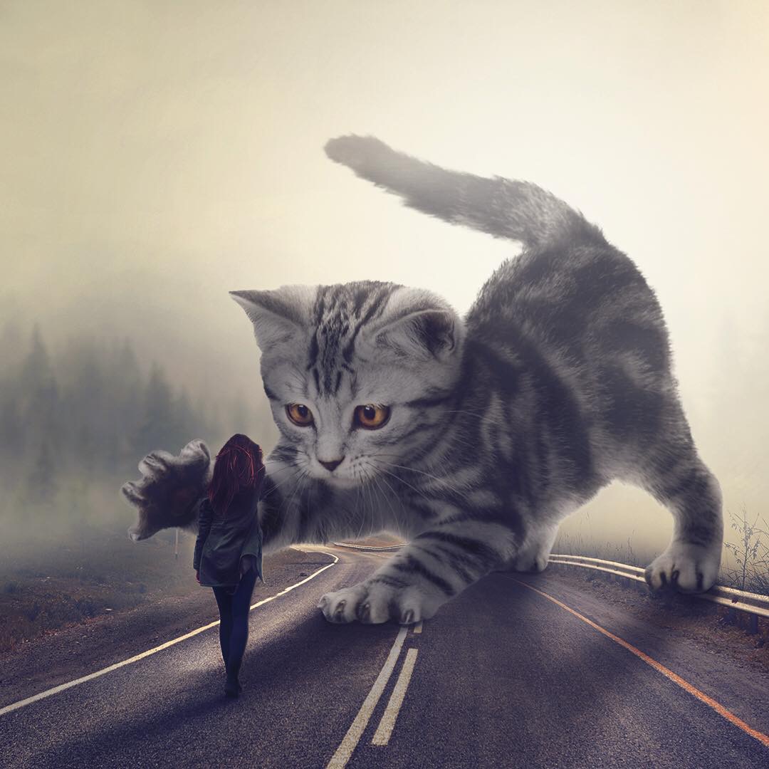 超现实主义摄影作品 | maniphotography|摄影|超现实主义|作品_新浪新