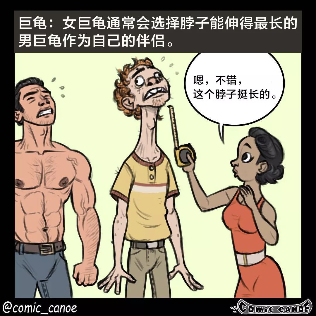 这诡异的画风也是绝了|人类|树懒|漫画家_新浪新闻
