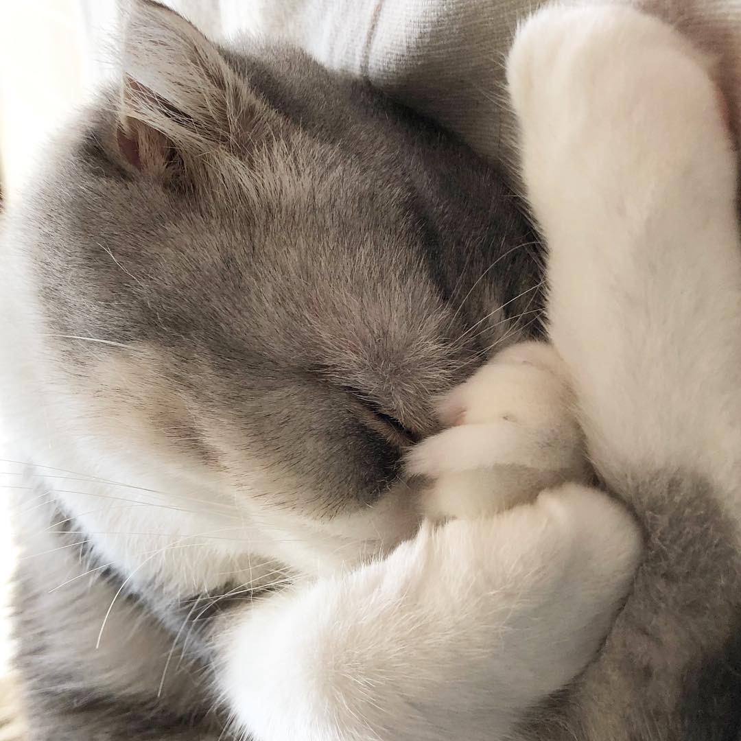 国庆假期去哪都是人,还是窝在家里睡觉最舒服