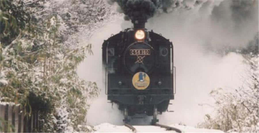 火车|列车|头颅_新浪新闻