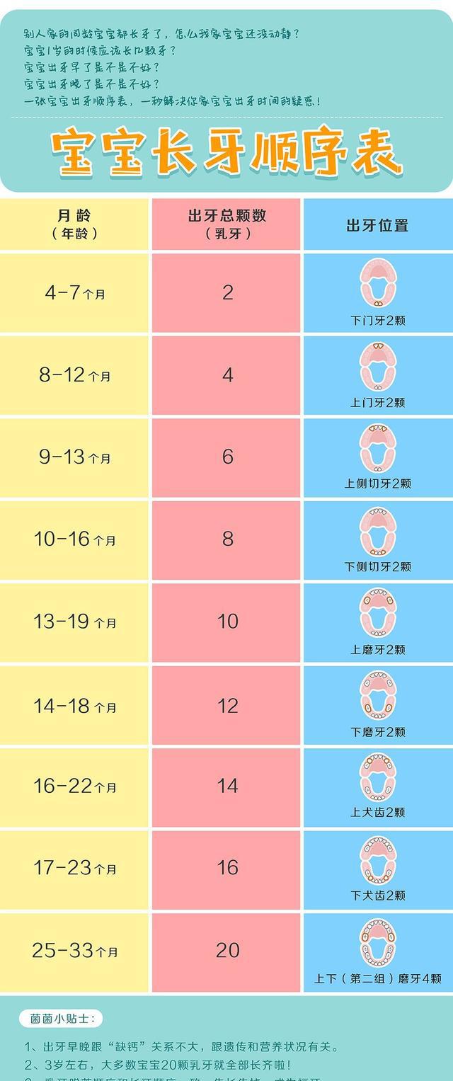 一张图解决宝宝长牙问题!