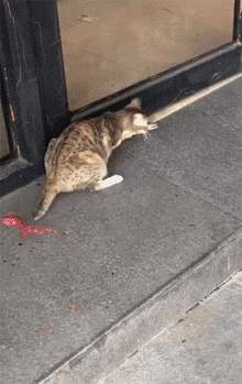 220_349gif 动态图 动图