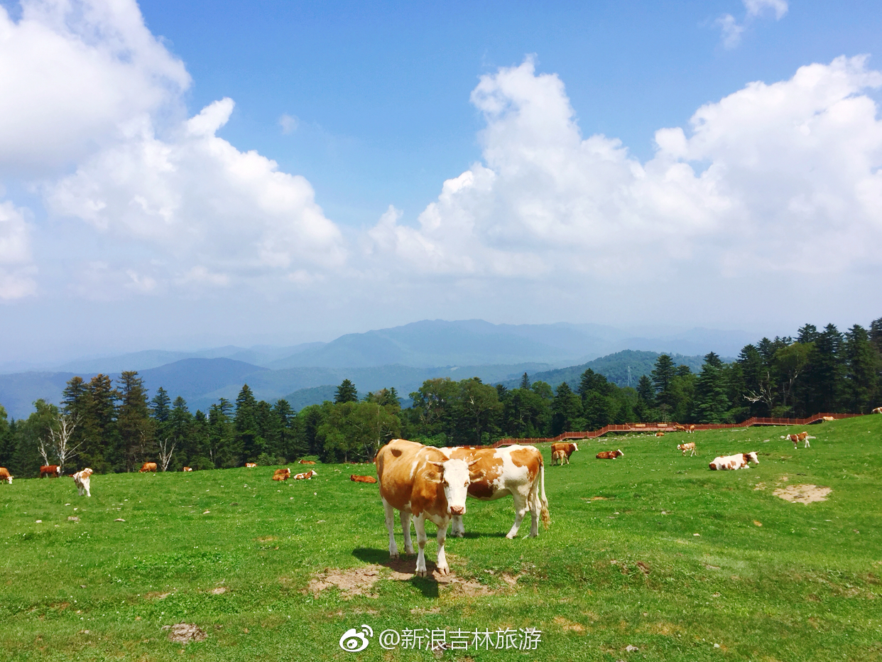 临江老秃顶子风景区