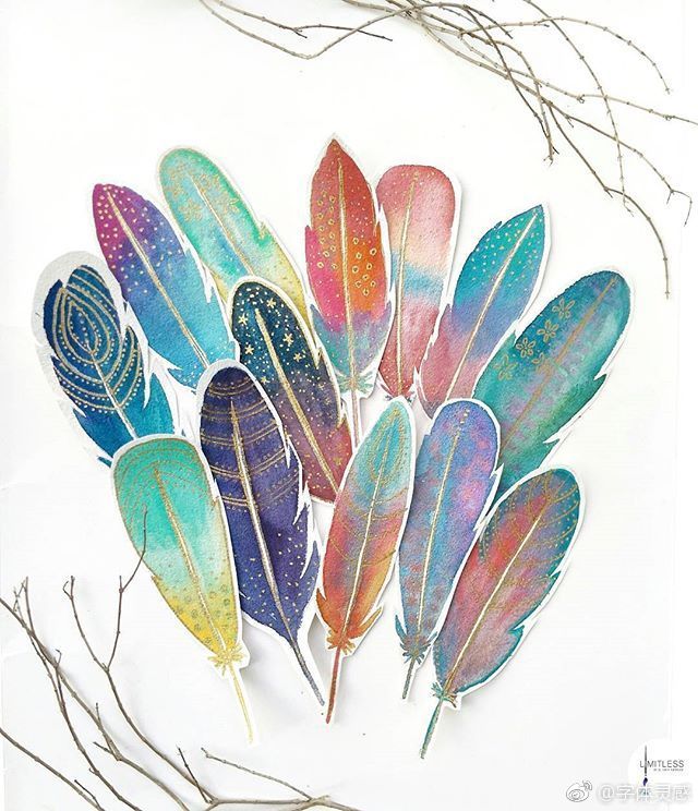 漂亮配色的羽毛水彩画 插画师viddhi kantesaria