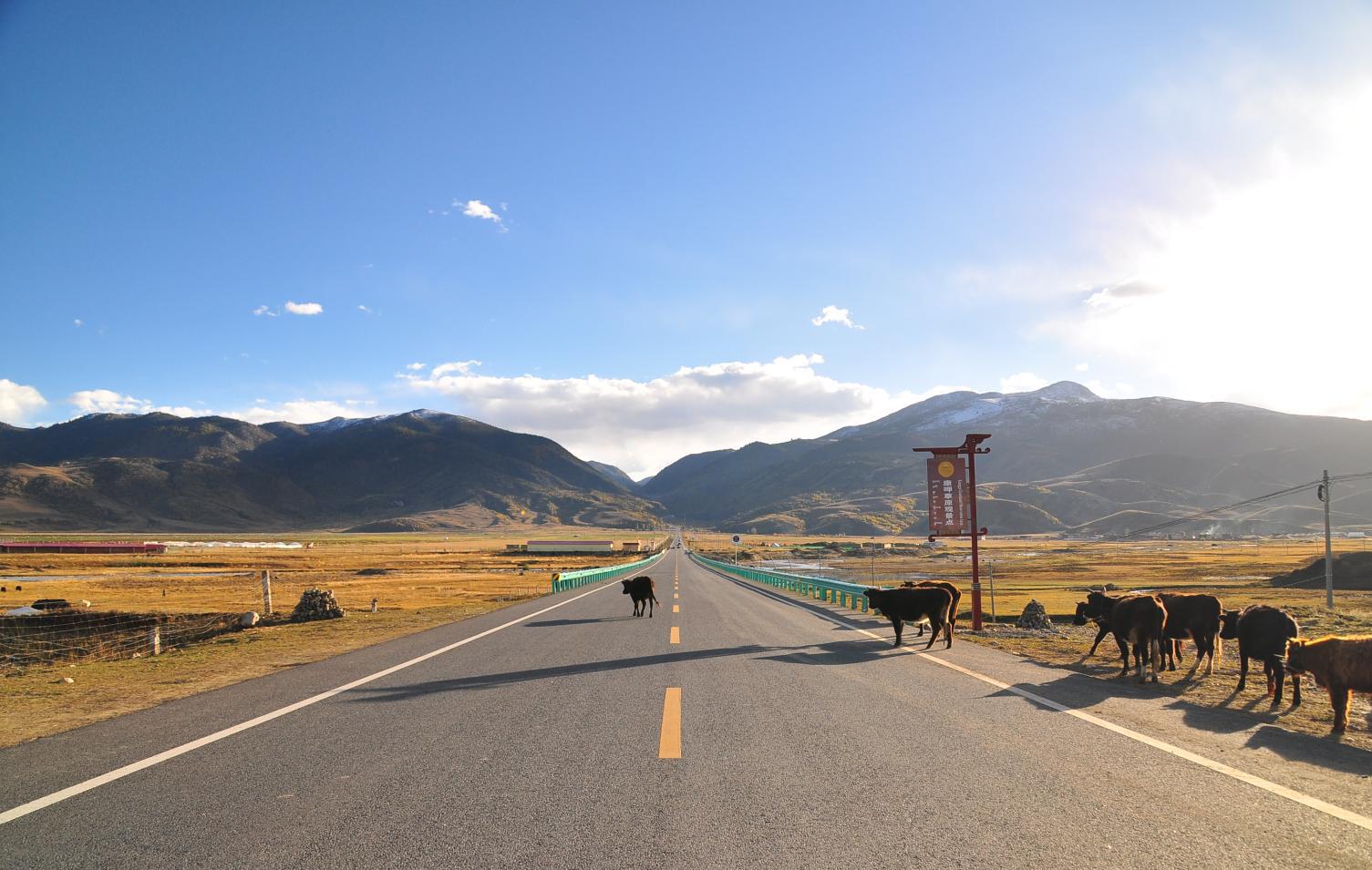 稻城亚丁旅游 图说318国道理塘县到稻城县沿途风光