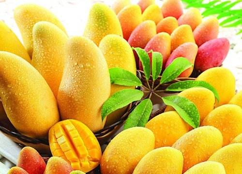 什么品种的芒果最甜,个人比较喜欢小芒果