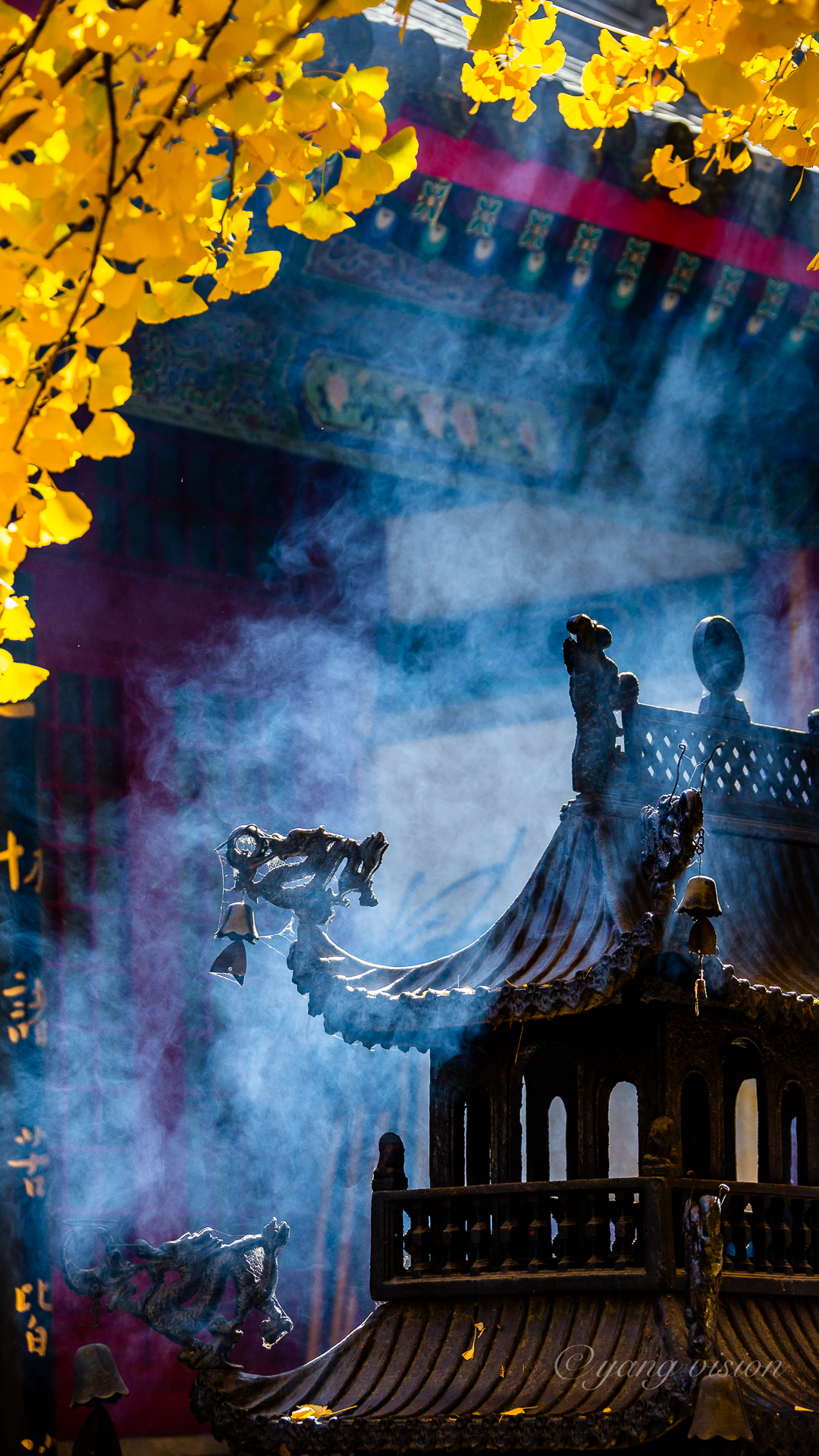 片片黄金叶,袅袅青烟升@影像视觉杨