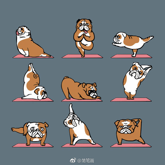 做瑜伽的汪星人好呆萌by插画师huebucket