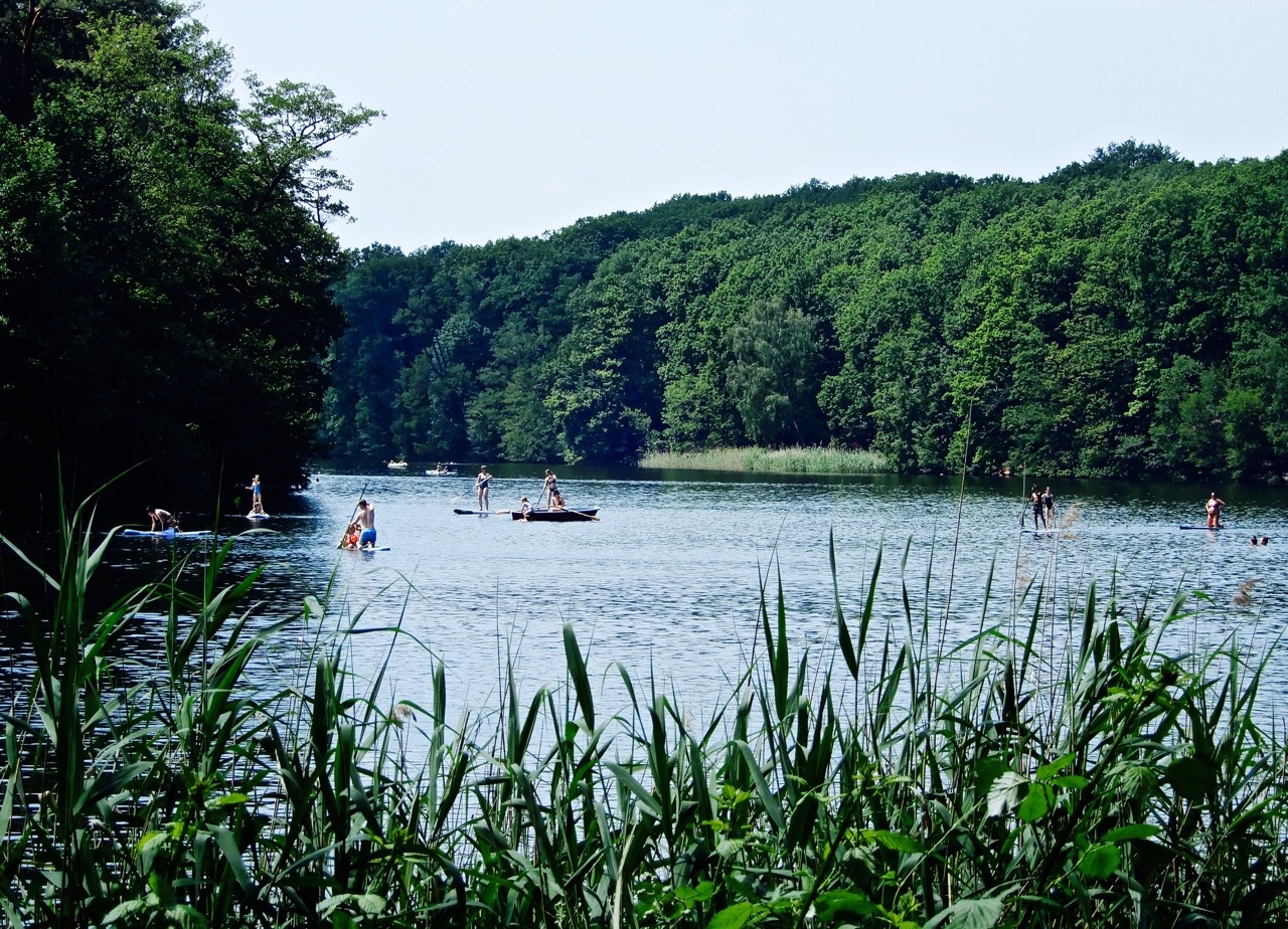 arthur看柏林:柏林人喜爱的夏日露天森林浴场