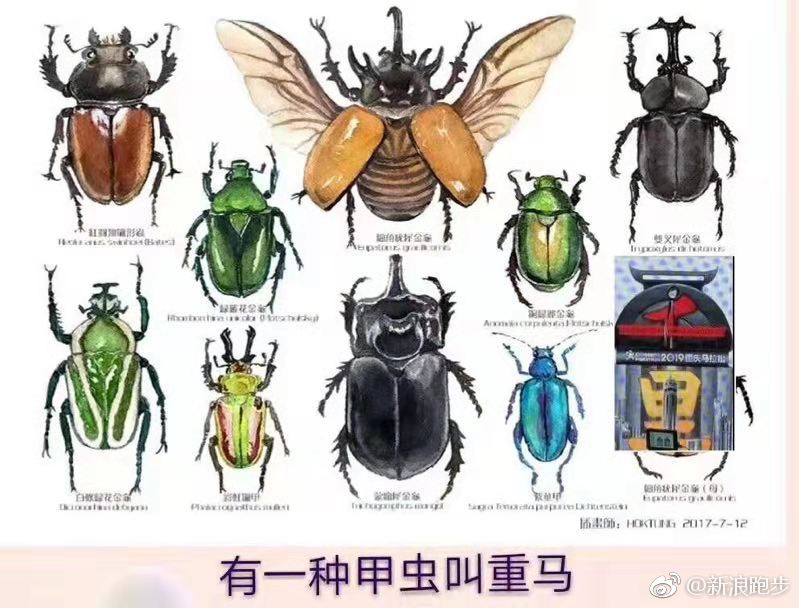 奖牌,跑友脑洞大开|脑洞大开|奖牌_新浪新闻