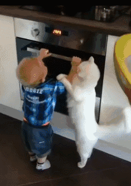 总有一些喵会为主人而改变