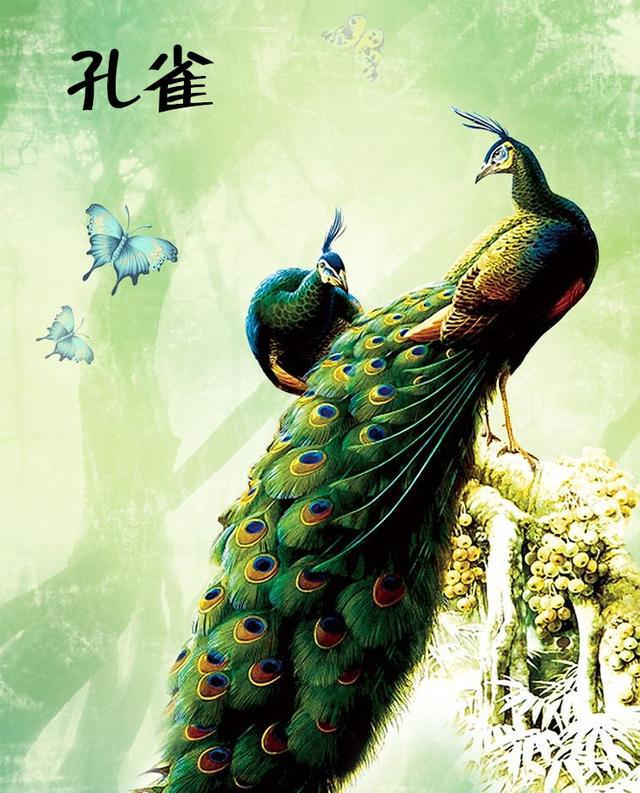 龙生九子，凤育九雏！有两个现在还真实活在世界上！|五凤|凤凰|鸑鷟_新浪新闻