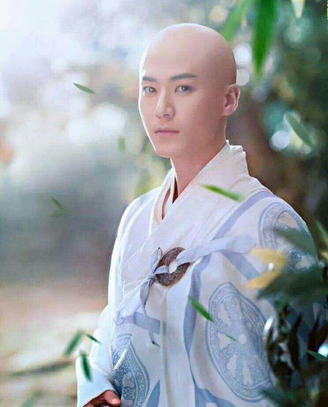 今主演多部热剧,成史上最帅法海|林心如|茅子俊|热剧_新浪新闻