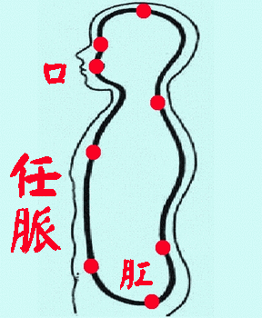 任脉为阴这种蹲墙功其实主要就是打通神经系统,打通任督二脉的.