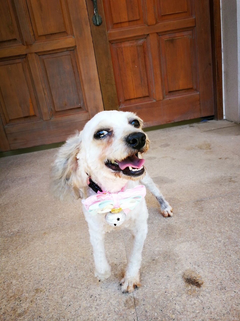 小瘸子开心傻了