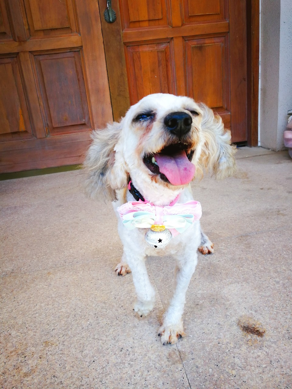 小瘸子开心傻了