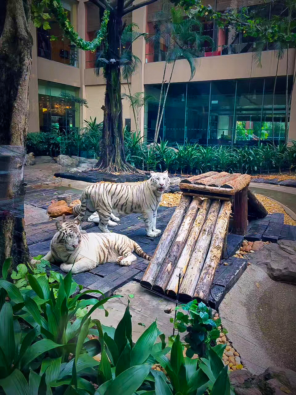 专治"坏孩子"的动物主题餐厅 再顽皮的孩也会爱上吃饭