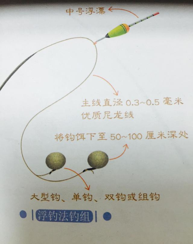 图示钓鳙鱼技巧和方法!