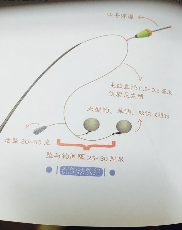图示钓鳙鱼技巧和方法!