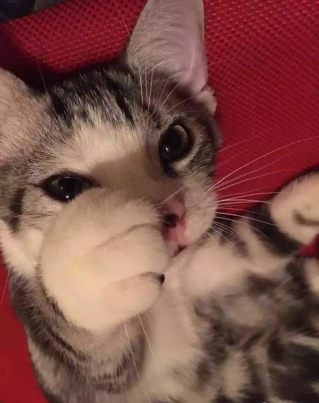 抛媚眼的妖美男