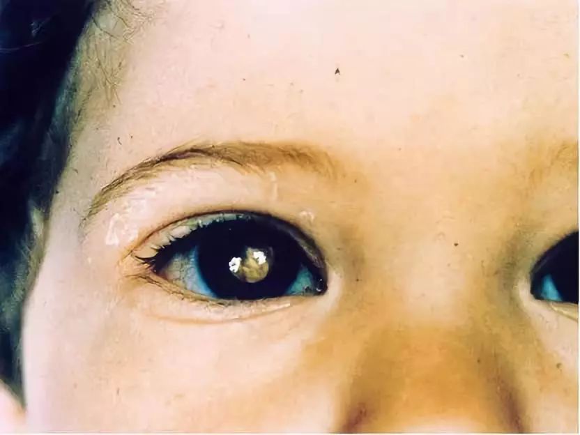 新里程美家国际患者服务中心