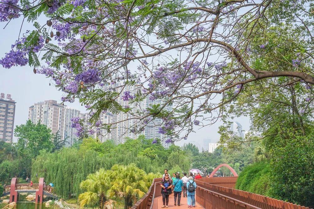 新华公园华丽归来成华区将成为最好玩的地方