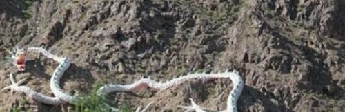 正史上有200多次真龙现世的记载 全长十多丈