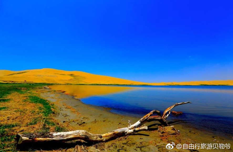 高原蓝宝石之称的青海湖到底有多美几张图告诉你