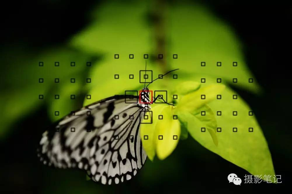 说白了在我们画面中有各种各样的元素,当你对焦在哪里的时候,哪里就